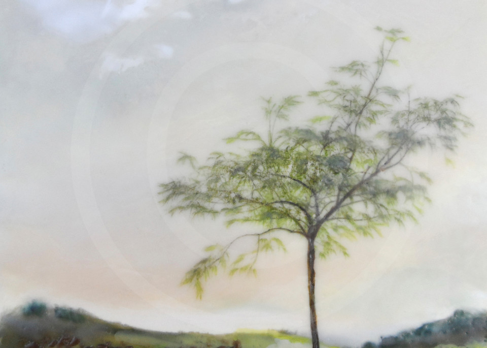 Maple Pirouette - Painting with Trees - Artwork and Prints