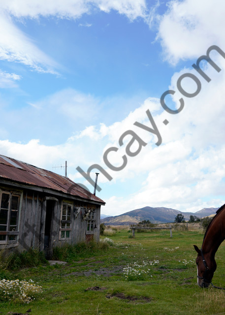 Horse,Gaucho Hut,Argentina Andes