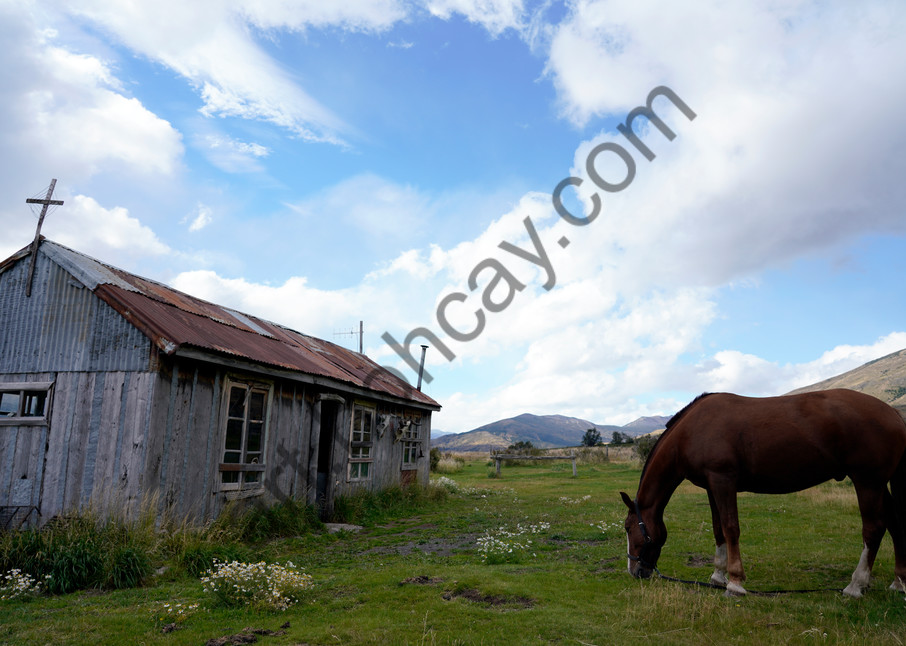 Horse,Gaucho Hut,Argentina Andes