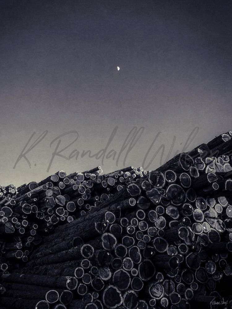 Redwood Moon Art | K. Randall Wilcox Fine Art