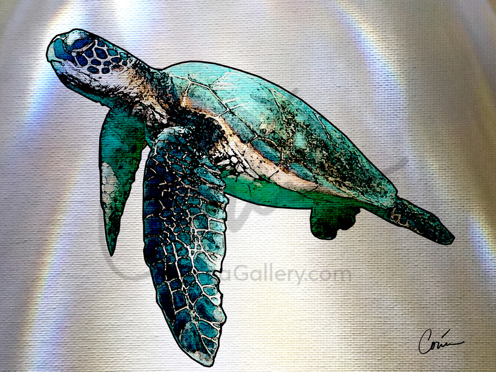 Gorgeous Sea Turtle on a White Background with light effects