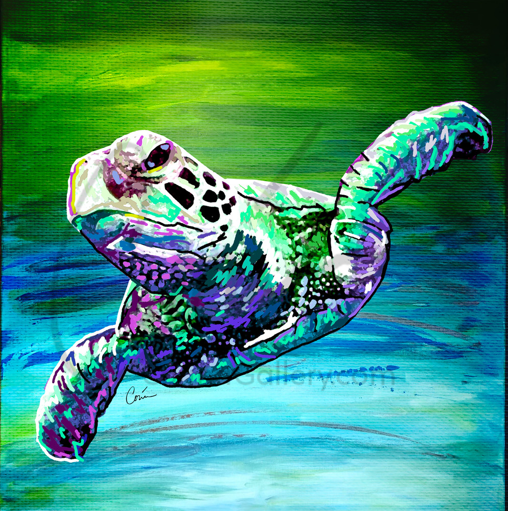 Sea Turtle 10 - Green Sea Turtle