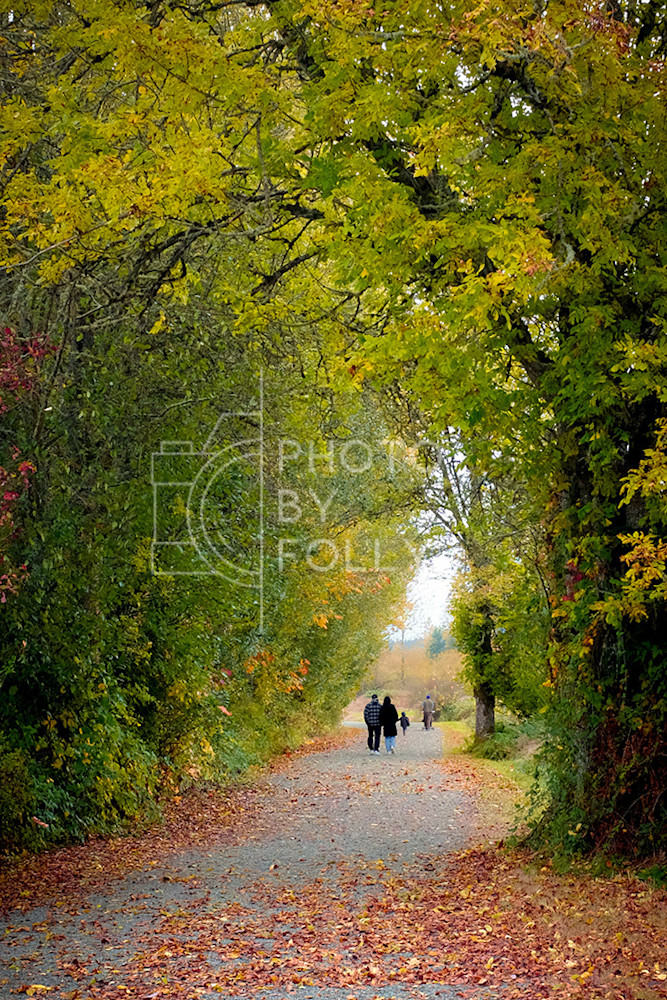 Fall Walk | Photo by Folly