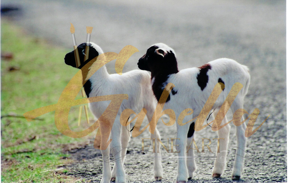 Baby Goats Twins Art | Gabella Fine Art