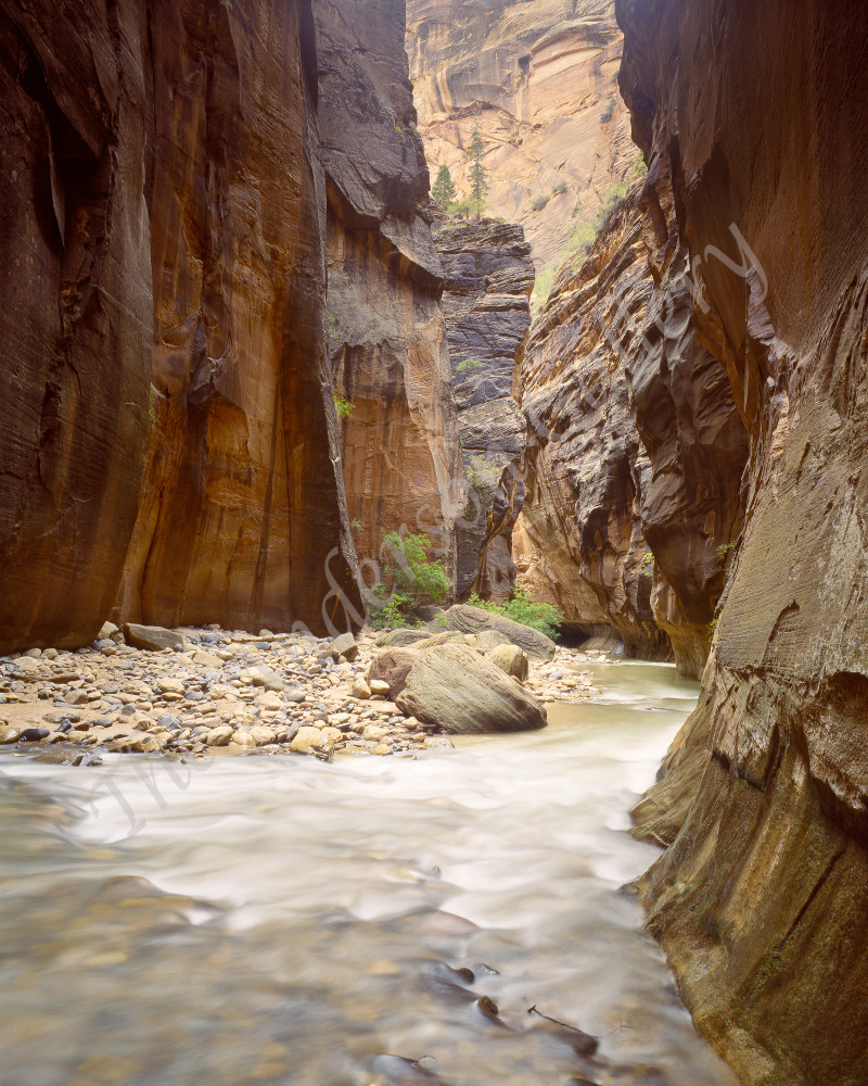 The Narrows, Zion Canyon, Utah Photography Art | theandersongallery