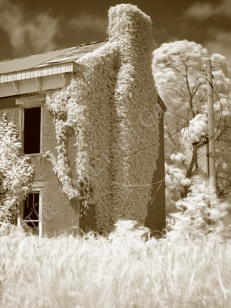 My Old Kentucky Home Num 1, Sepia Photography Art | theandersongallery
