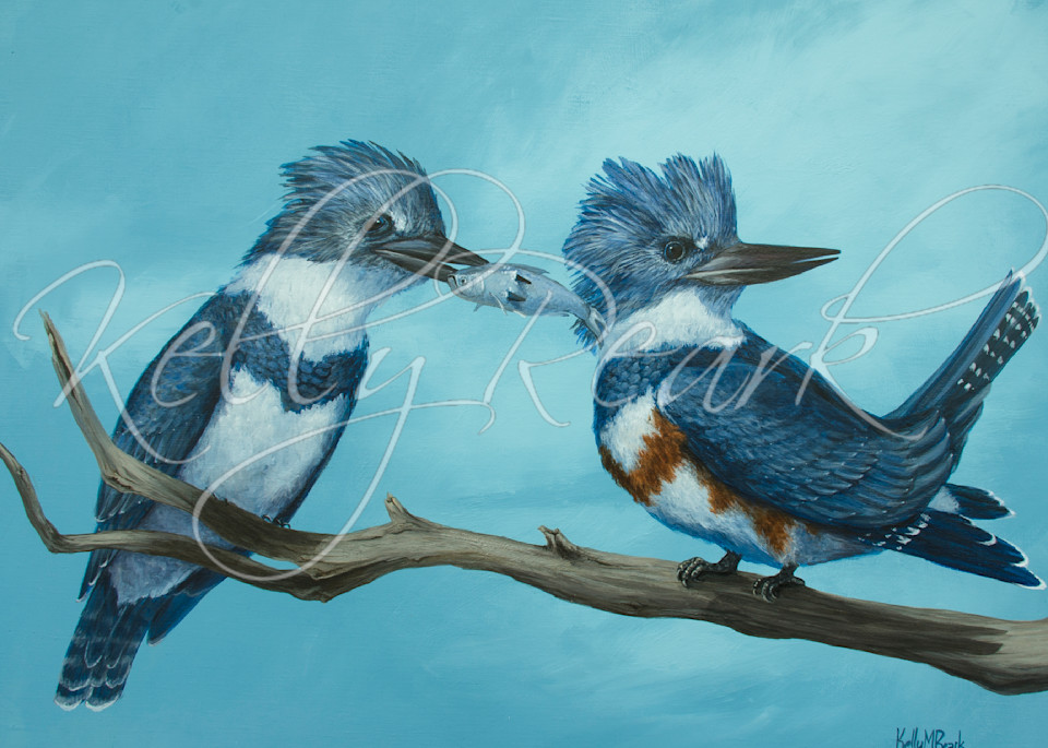 Kingfisher pair mates art by Kelly Reark