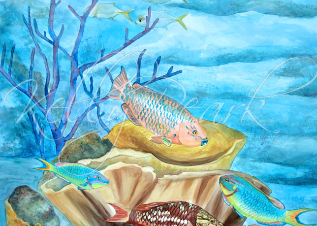 Colorful coral reef painting by Kelly Reark