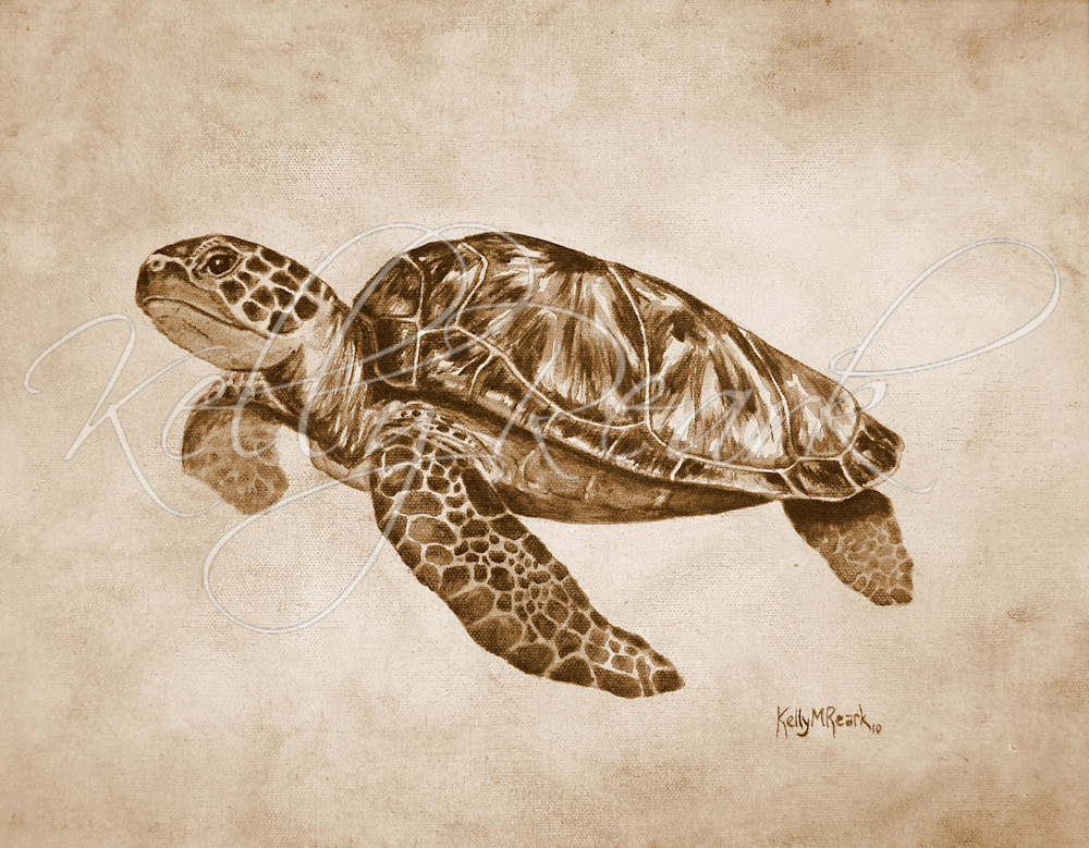 Swimming for Life sea turtle painting by Kelly Reark