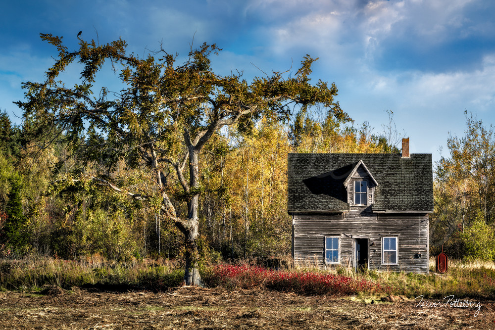 Rustic Charm Photography Art | Trevor Pottelberg Photography Rustic Charm Photography Art | Trevor Pottelberg Photography