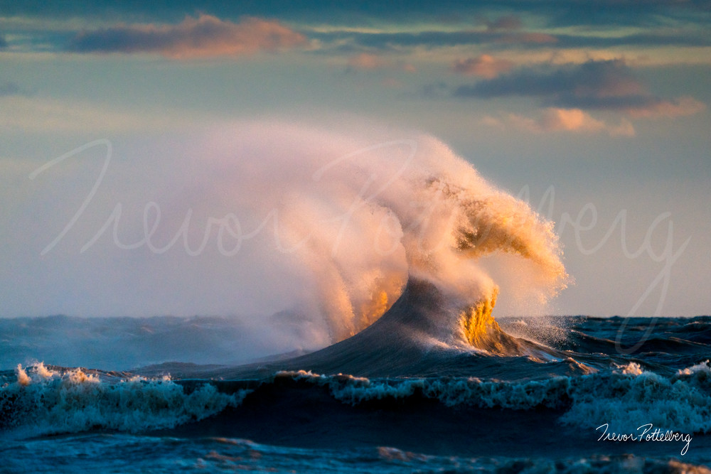 Golden Falcon Photography Art | Trevor Pottelberg Photography Golden Falcon Photography Art | Trevor Pottelberg Photography