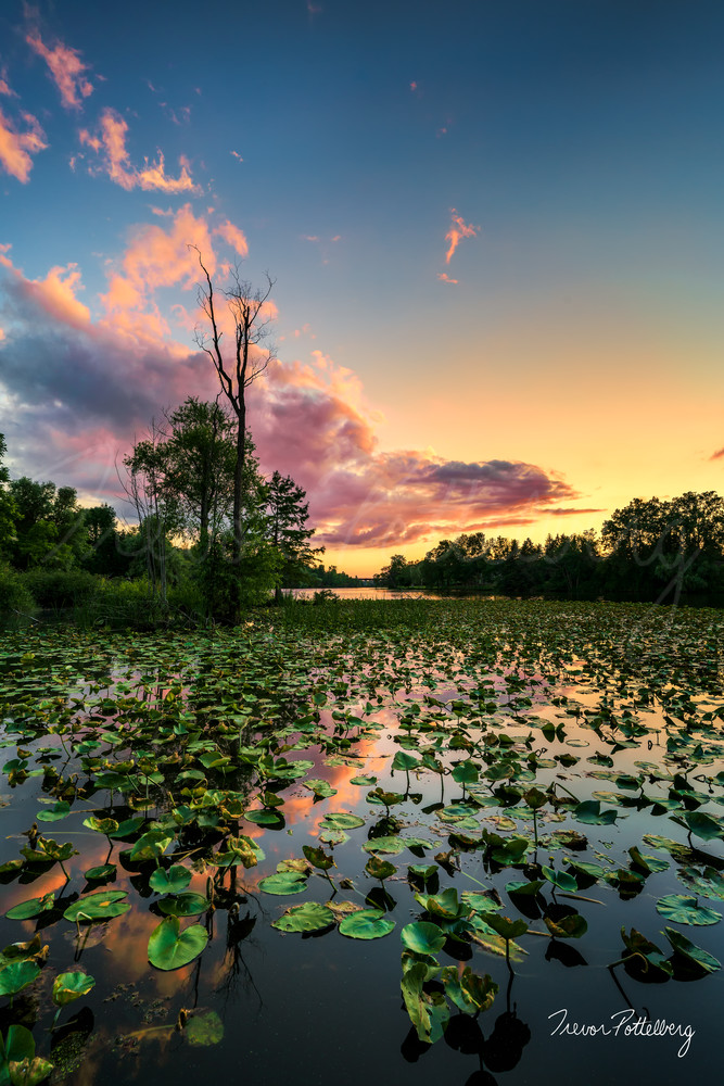 Life In The Bayou Photography Art | Trevor Pottelberg Photography Life In The Bayou Photography Art | Trevor Pottelberg Photography
