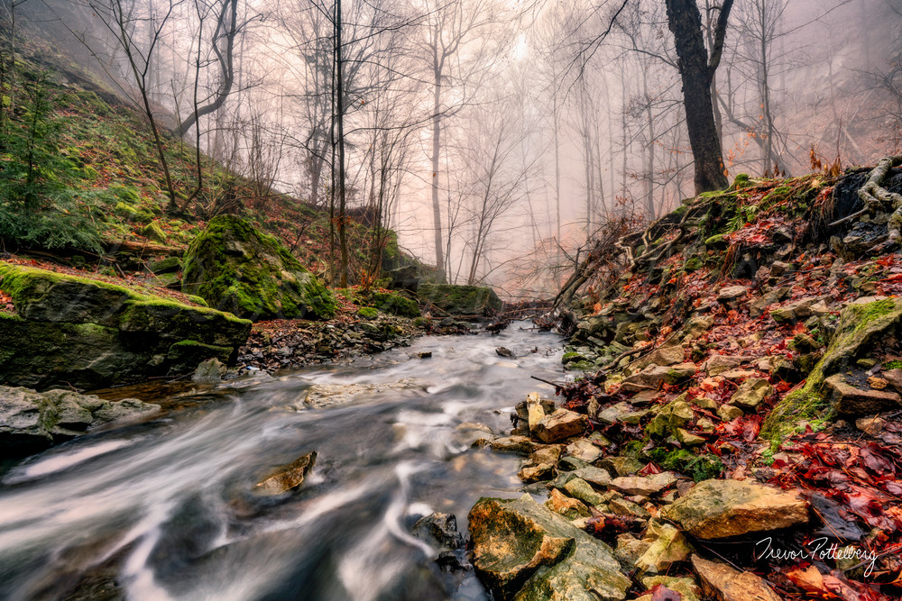 Mountain Brooke Photography Art | Trevor Pottelberg Photography Mountain Brooke Photography Art | Trevor Pottelberg Photography