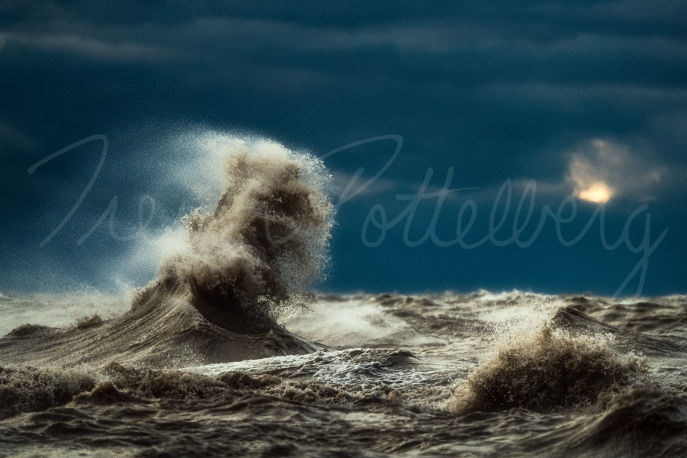 What Lurks Beneath Photography Art | Trevor Pottelberg Photography What Lurks Beneath Photography Art | Trevor Pottelberg Photography