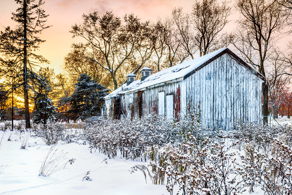 Resting In The Autumn Snow Photography Art | Trevor Pottelberg Photography Resting In The Autumn Snow Photography Art | Trevor Pottelberg Photography