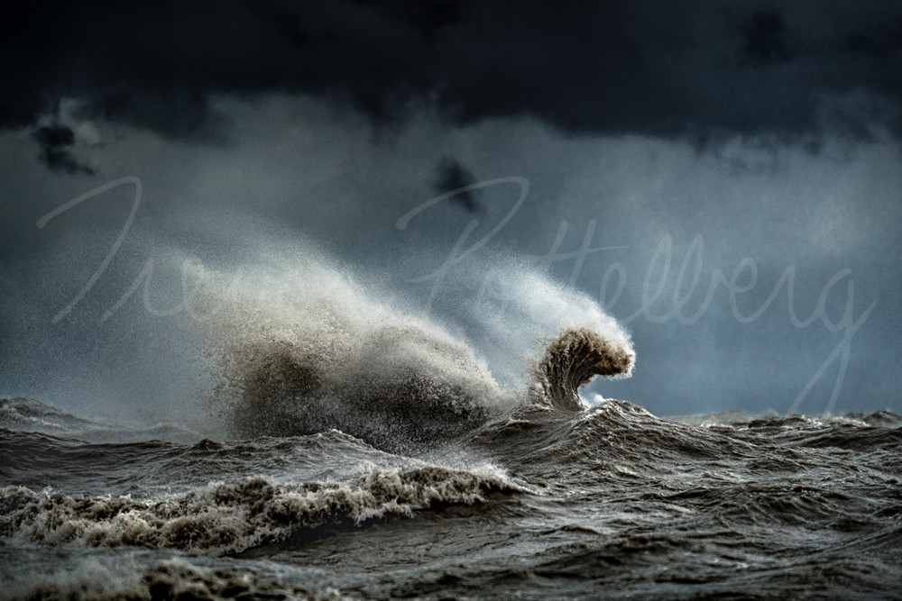 Nessie Photography Art | Trevor Pottelberg Photography Nessie Photography Art | Trevor Pottelberg Photography