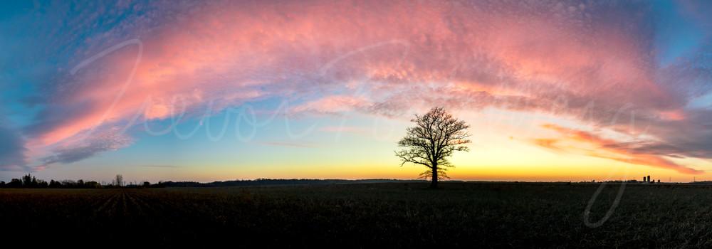 A Farmer's Solitude Photography Art | Trevor Pottelberg Photography A Farmer's Solitude Photography Art | Trevor Pottelberg Photography