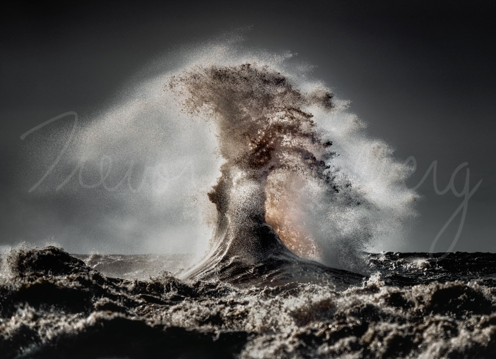 Rise Of The Tree Photography Art | Trevor Pottelberg Photography Rise Of The Tree Photography Art | Trevor Pottelberg Photography