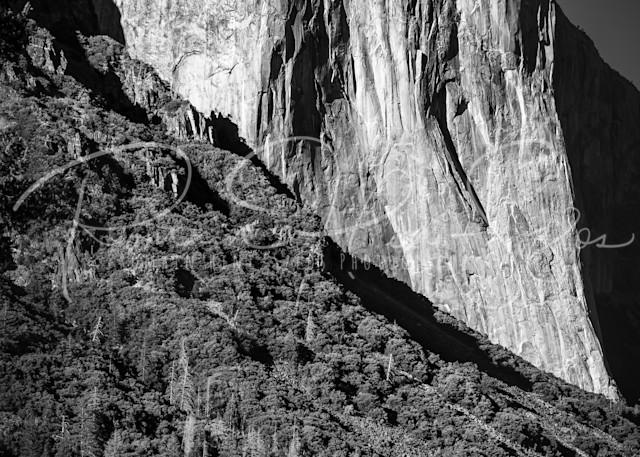 Yosemite: El Capitan Photography Art | RHS Gallery