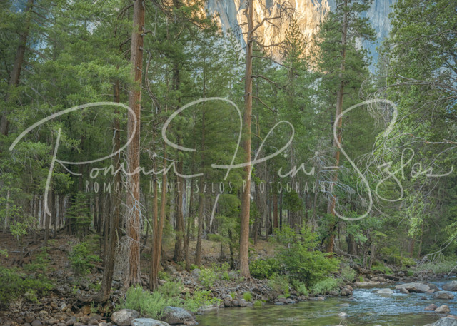Yosemite: El Capitan Photography Art | RHS Gallery