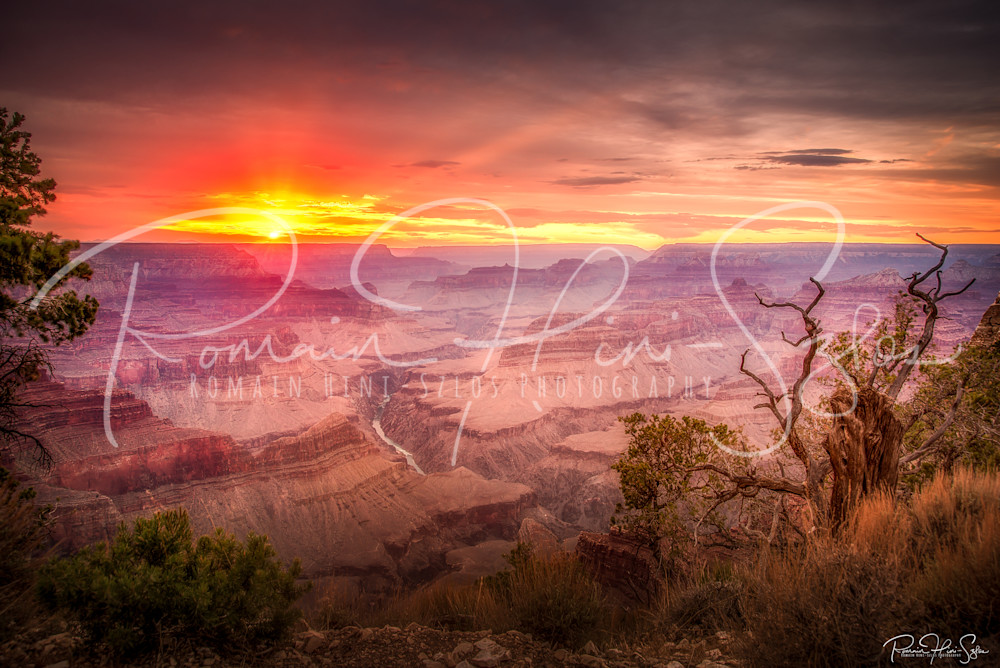 RHS Gallery - Romain Hini-Szlos photography - Sunset Grand Canyon as the sun is going under the horizon

