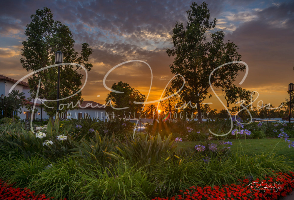 La Costa Sunset Photography Art | RHS Gallery