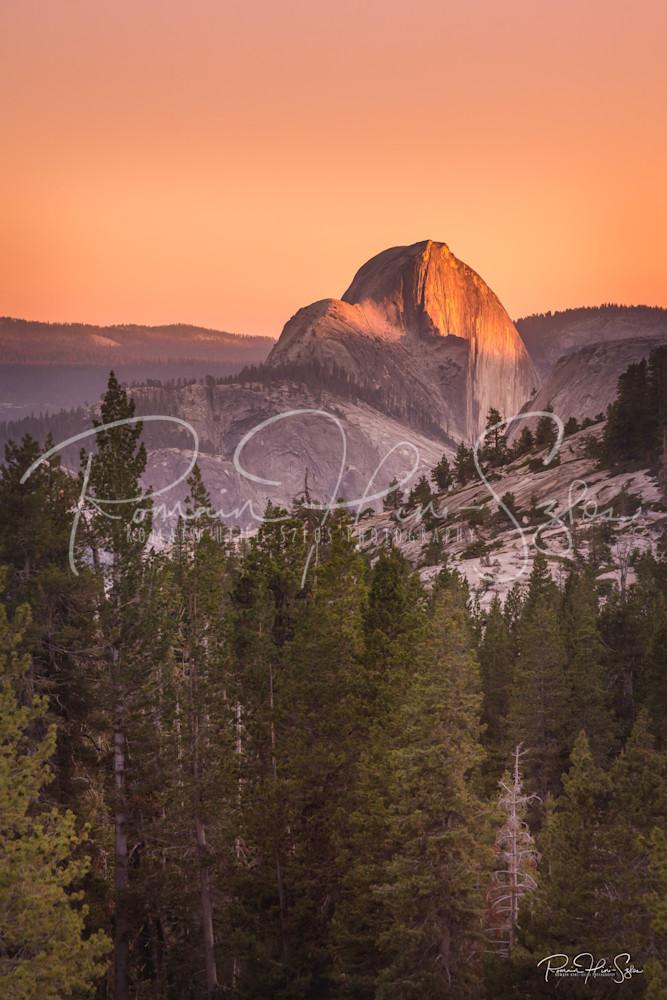 Yosemite: Half Dome Sunset Photography Art | RHS Gallery