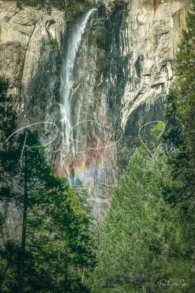 Yosemite: Bridalveil Fall Photography Art | RHS Gallery