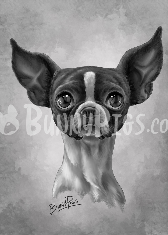 Julep Art | BunnyPigs
