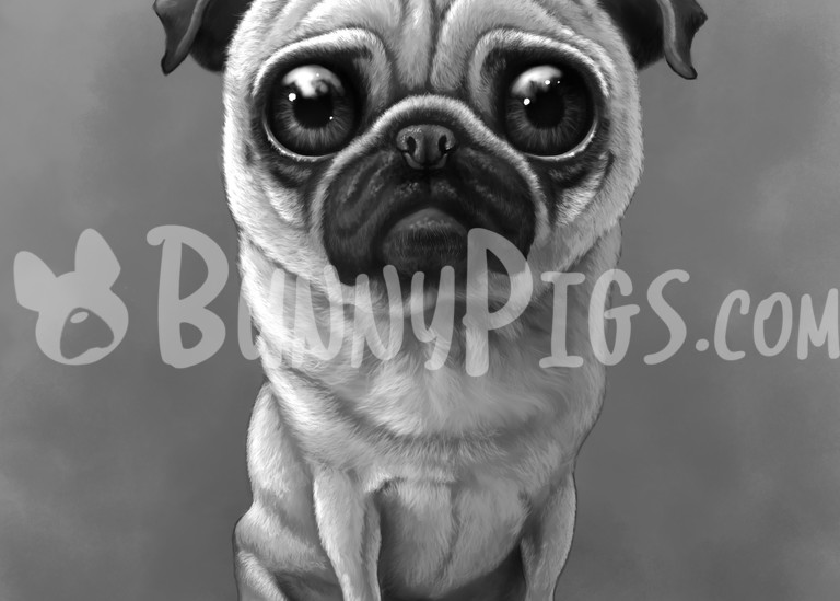 Lilly The Pug Art | BunnyPigs