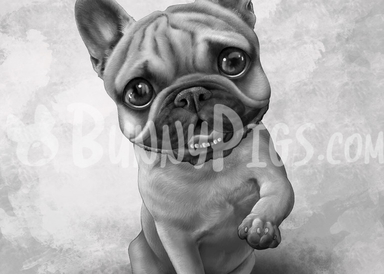 Bianca The Frenchie Art | BunnyPigs