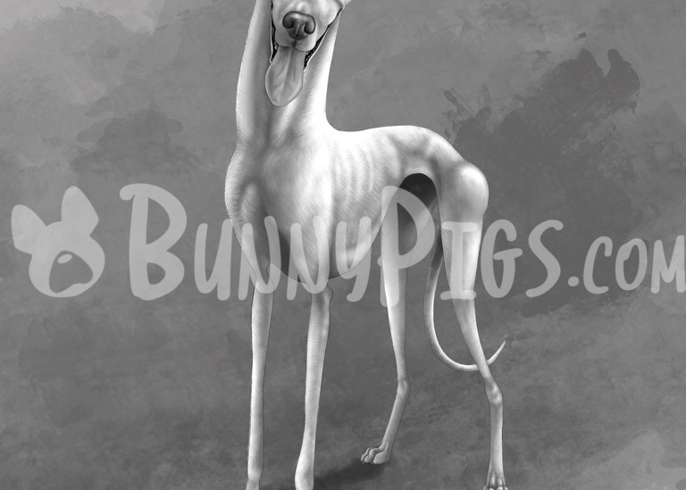 Sarah The Spanish Greyhound Art | BunnyPigs
