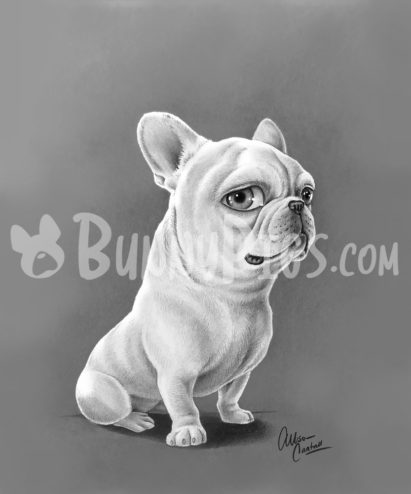 Fletch The Frenchie Art | BunnyPigs