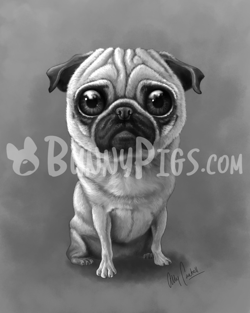 Lilly The Pug Art | BunnyPigs