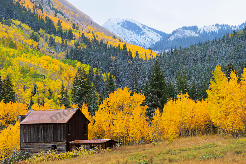 Mountain Light Images, Ashcroft Colorado Fall colors peak cabin mining