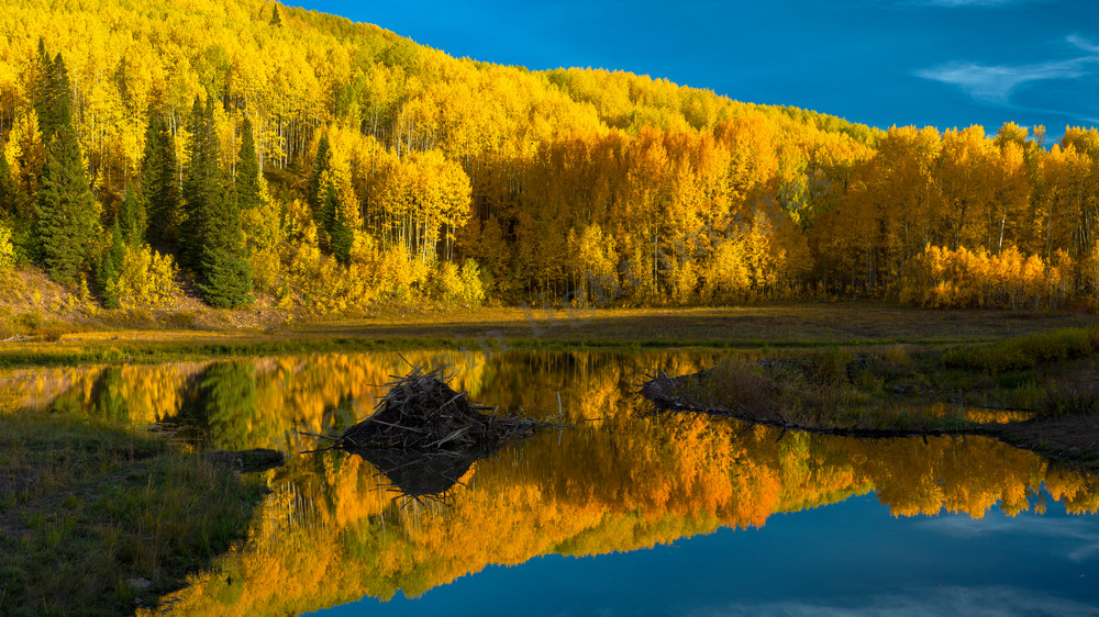 mountain light images fall afternoon stillness at a beaver pond on kebler pass. No wind and a mirror like reflection in the water