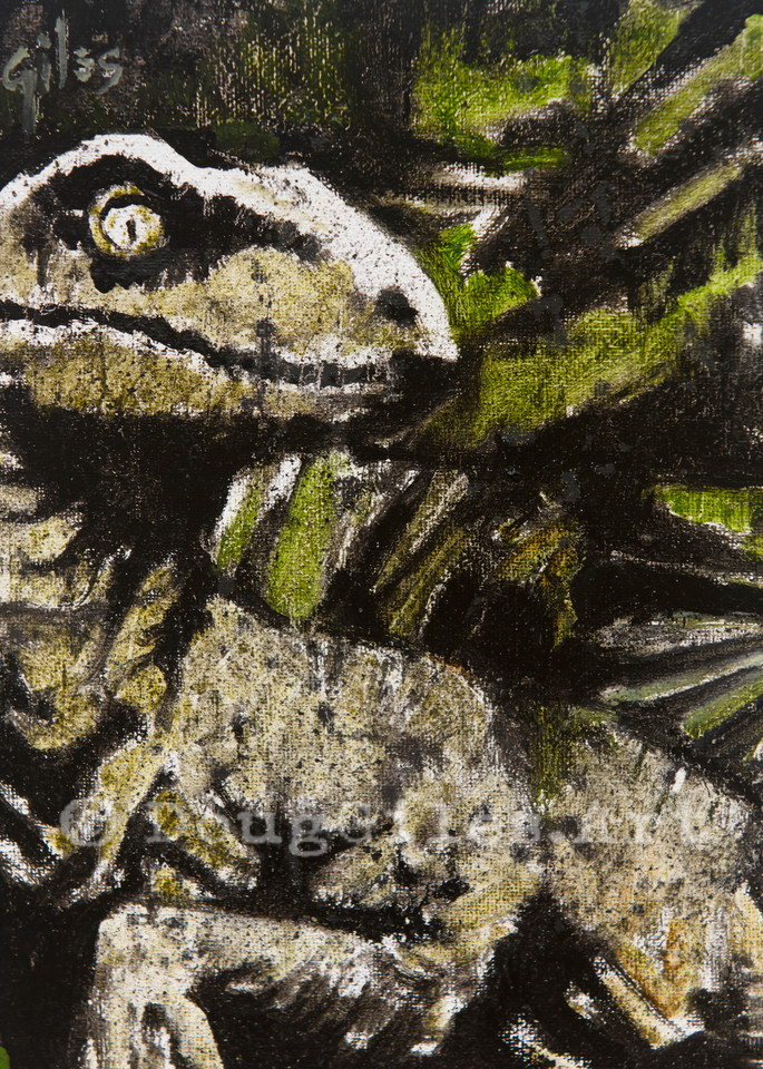 Raptor Art | Doug Giles Art, LLC