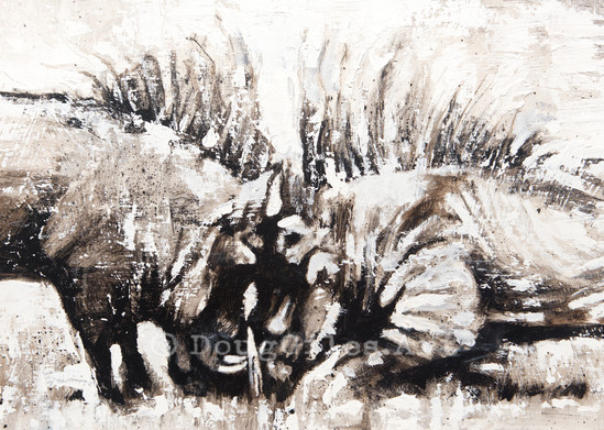Warring Warthogs Art | Doug Giles Art, LLC