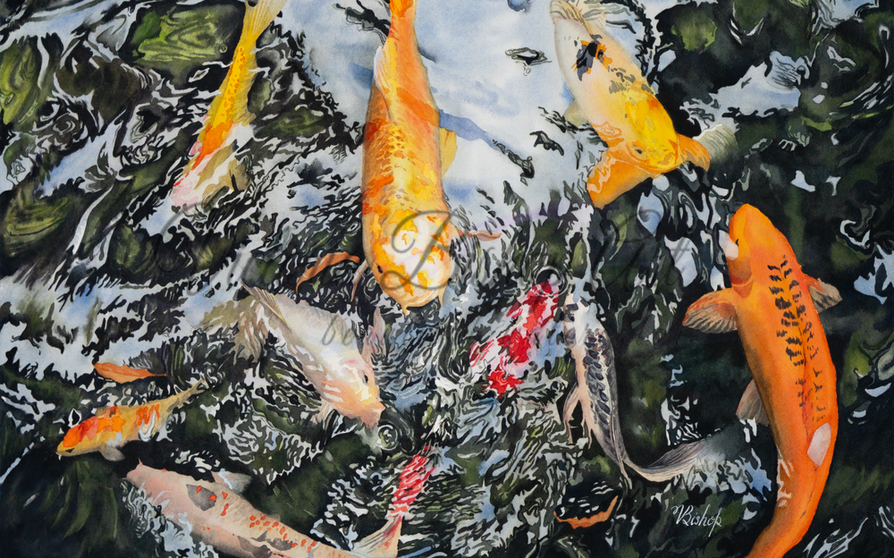 Realistic contemporary watercolor painting and prints of Koi fish and pond water.
