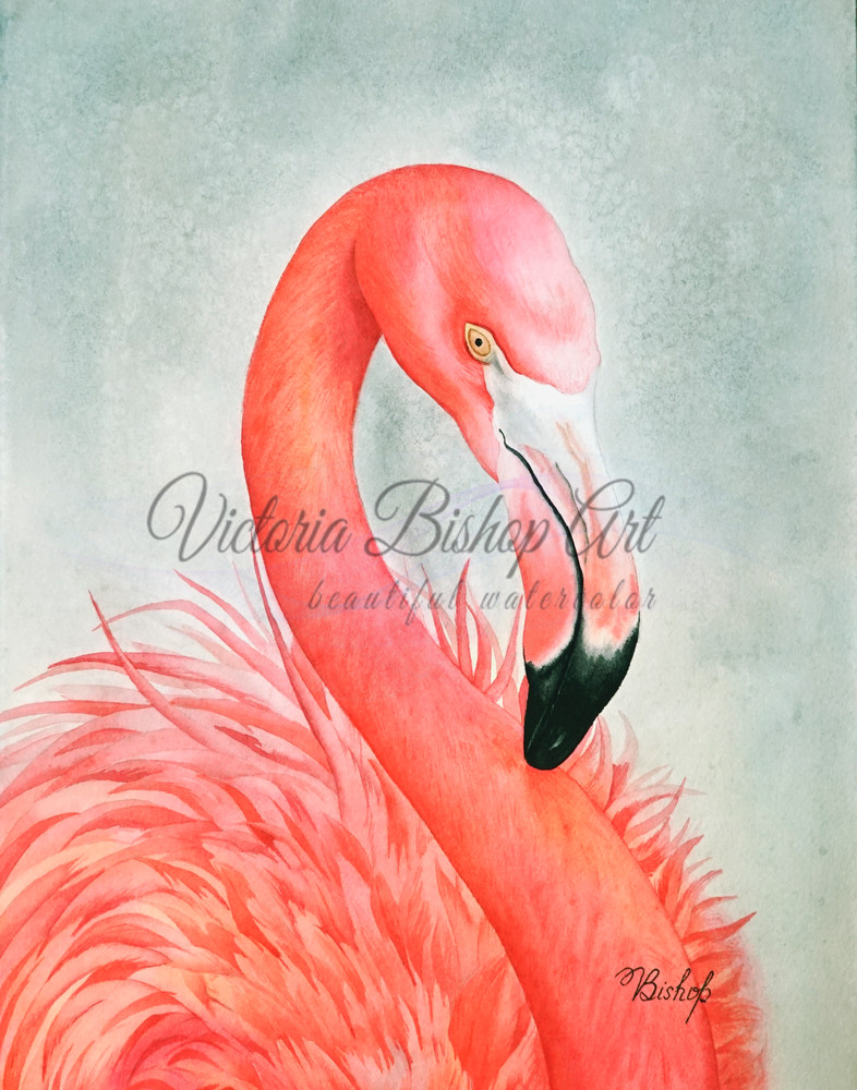 Watercolor painting of a Flamingo