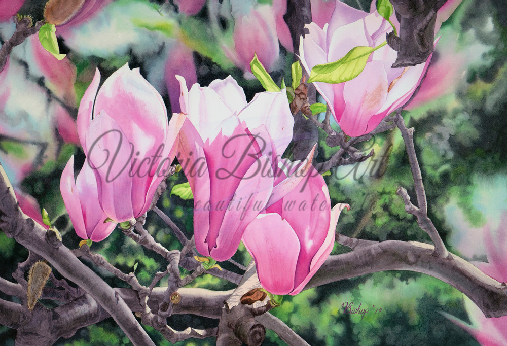 Springtime Art | victoriabishop.art