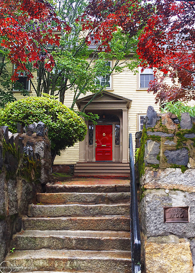 Red Door with Trees