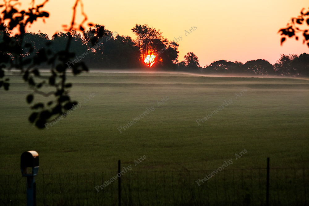 An Ardmore Ridge Morning in June