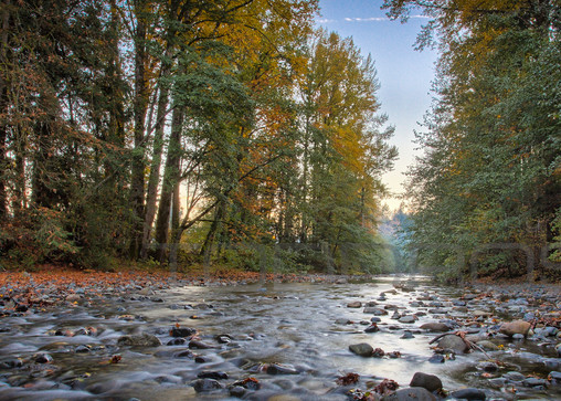 River Rock Autumn