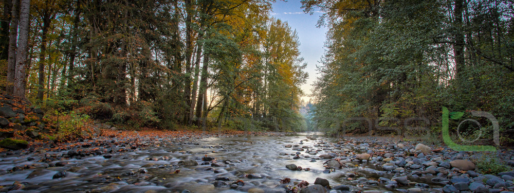 River Rock Autumn