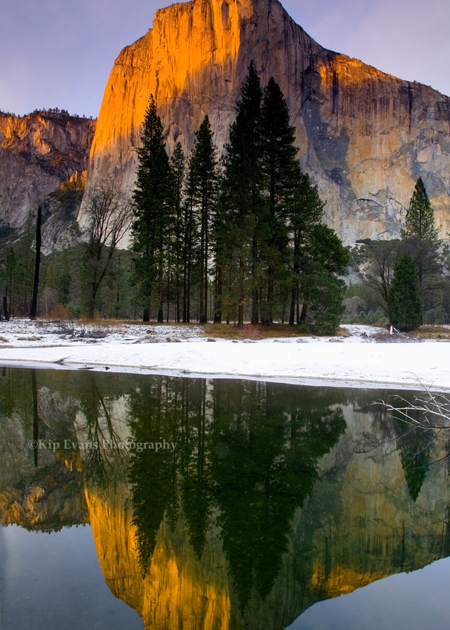 Reflection of El Capitan in the Merced River during winter in Yosemite.Yosemite National Park, California.