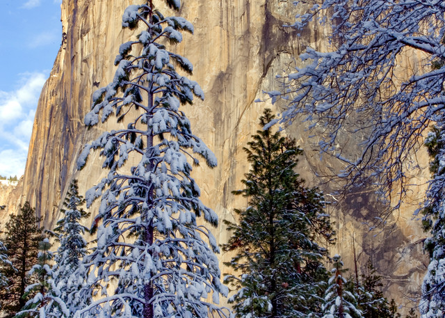 El Capitan during winter in Yosemite.Yosemite National Park, California.