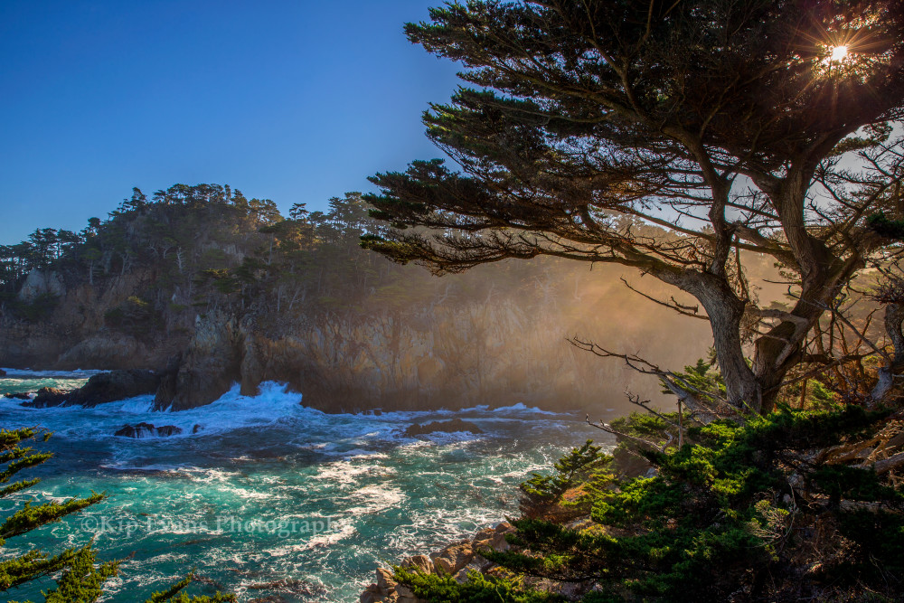 Sunrise along Cypress Point Trail, Point Lobos State Reserve, Carmel, California.