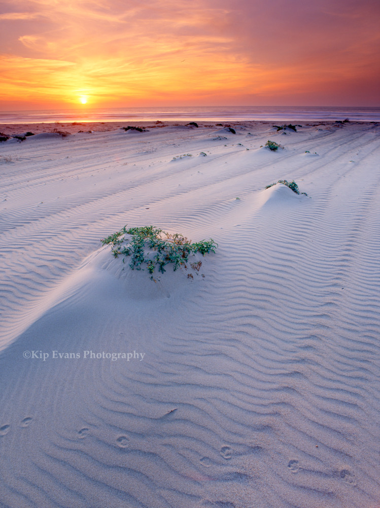 California Dunes At Sunset Photography Art | Kip Evans Photography