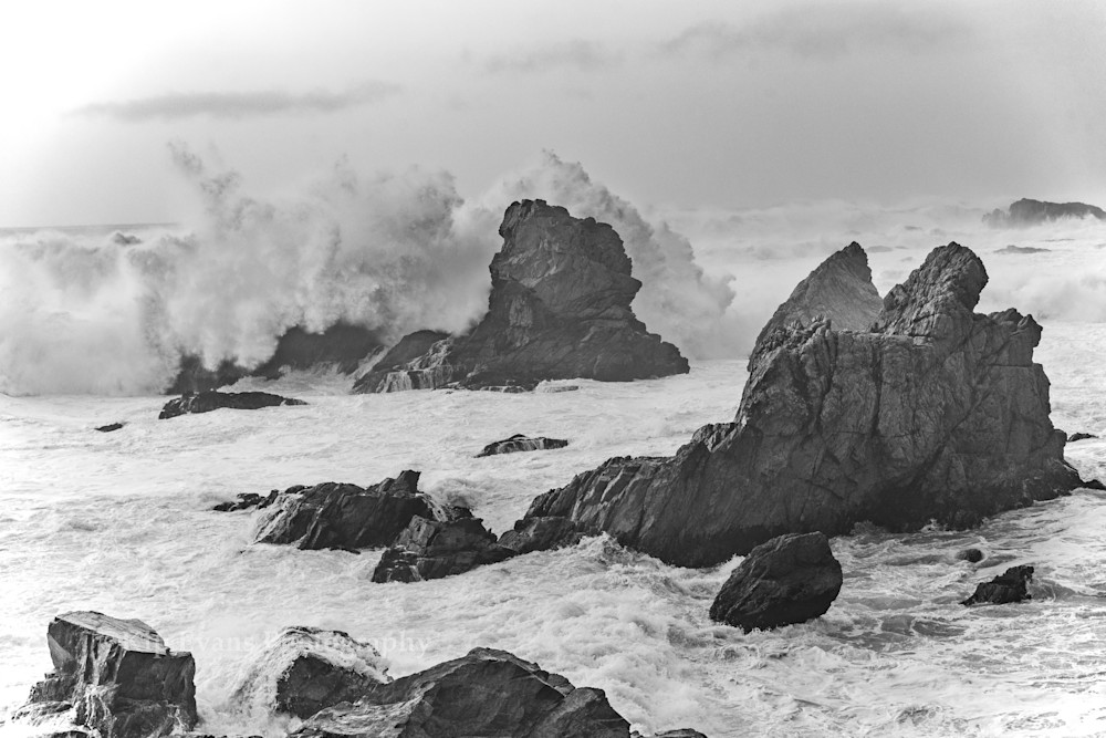 Big Sur Coast in Black and White